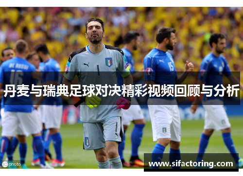 丹麦与瑞典足球对决精彩视频回顾与分析